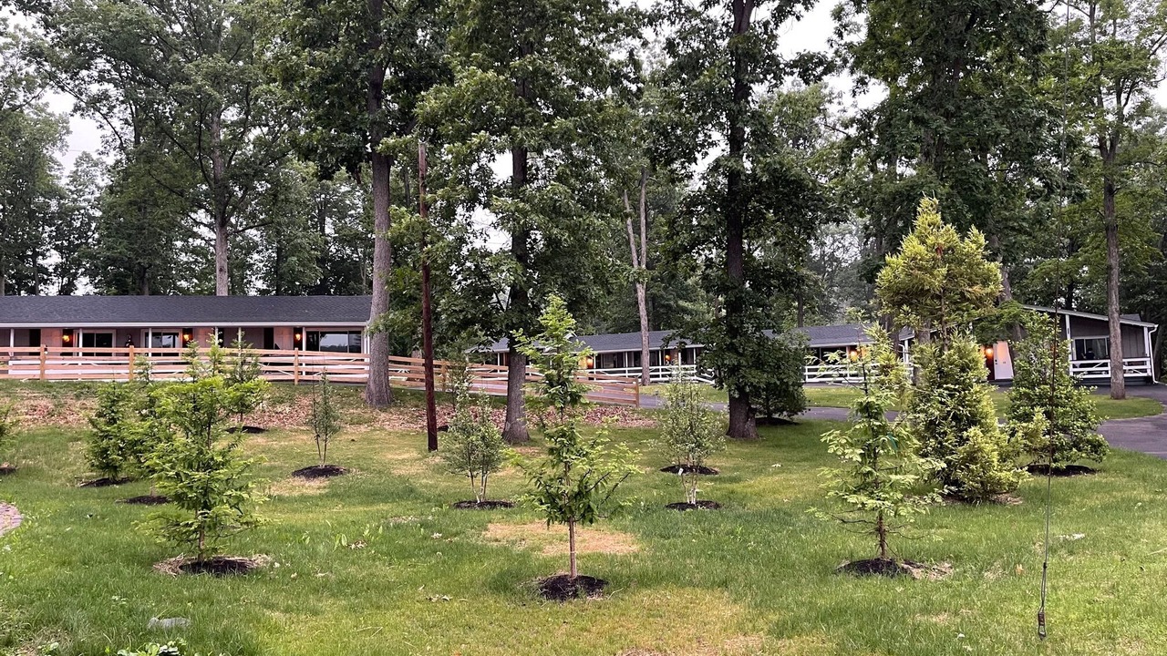 Photo of Outdoor in New Hope