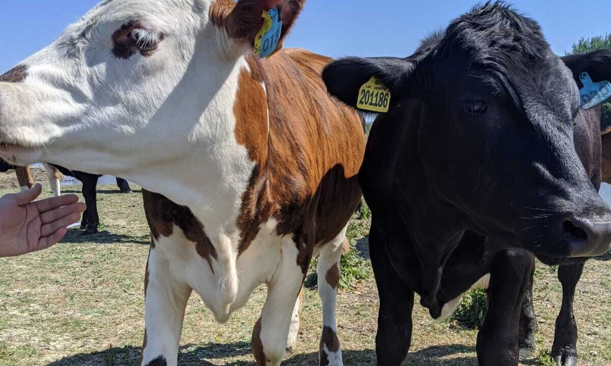 Photo of Others in Abingdon