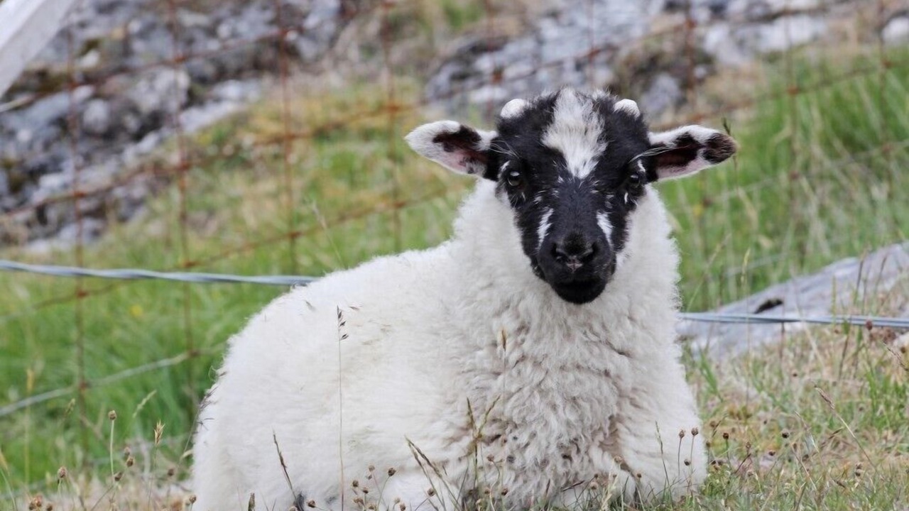 Photo of Others in Flodabay