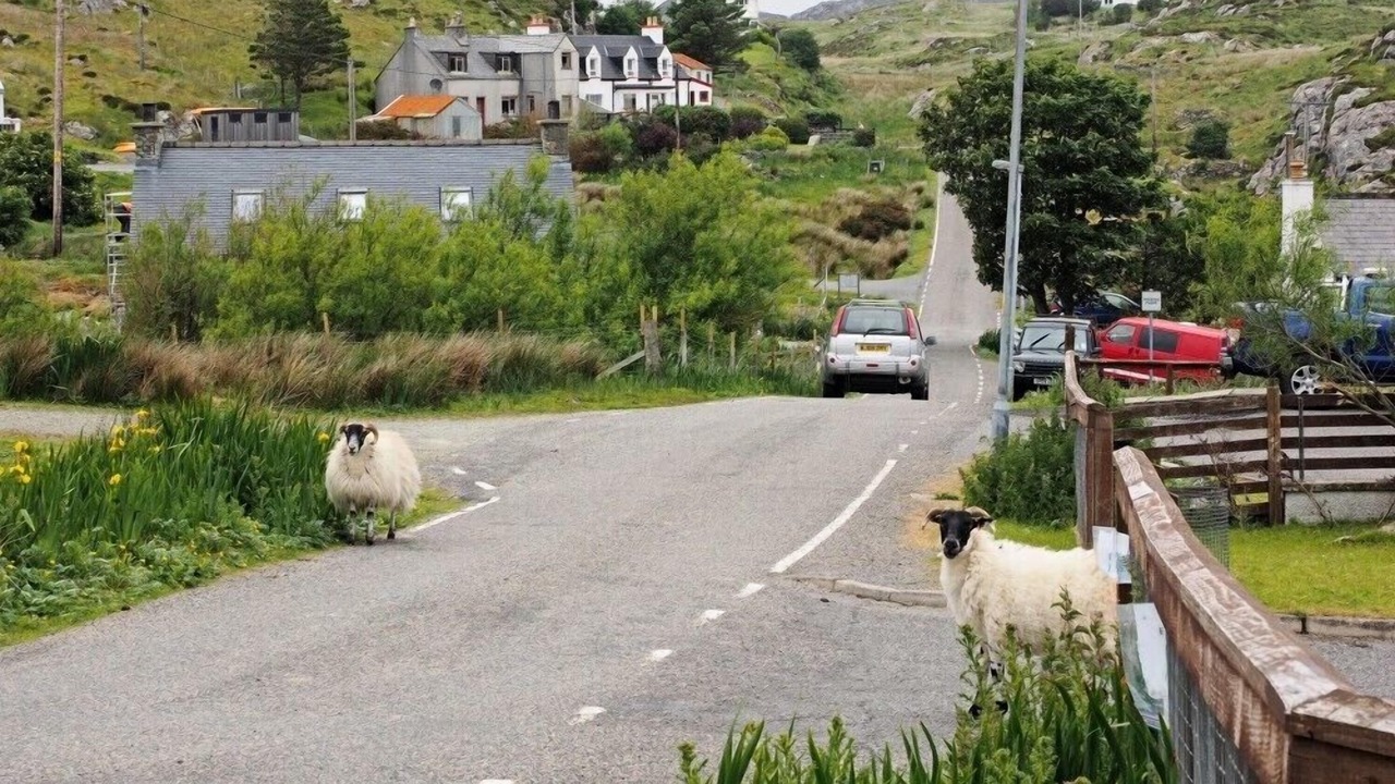 Photo of Others in Flodabay