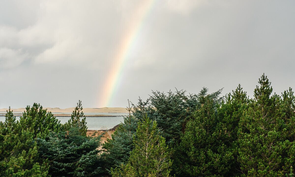 Photo of Others in Isle of North Uist