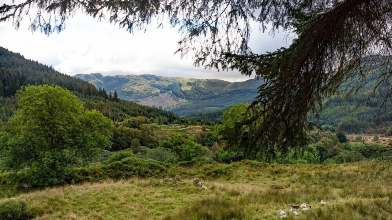 Photo of Others in Lochearnhead