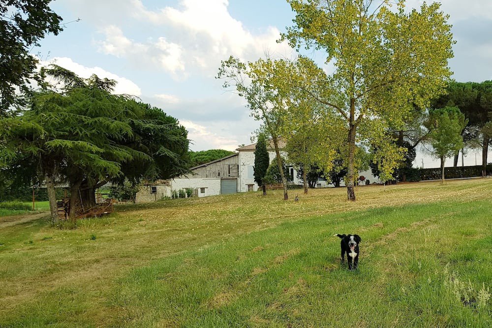 Photo of Outdoor in Cuq