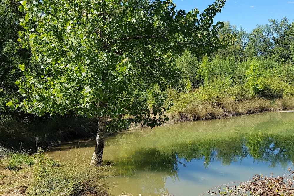 Photo of Others in Cuq