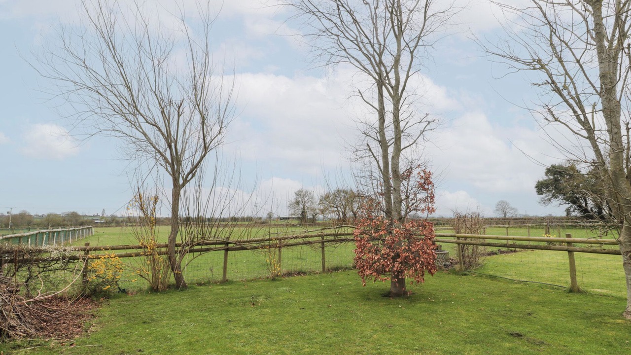 Photo of Outdoor in Middlezoy