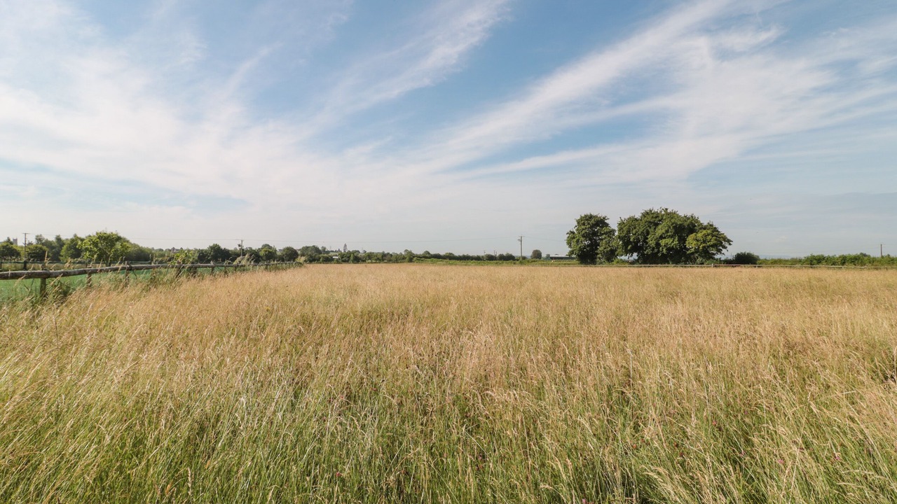 Photo of Others in Middlezoy