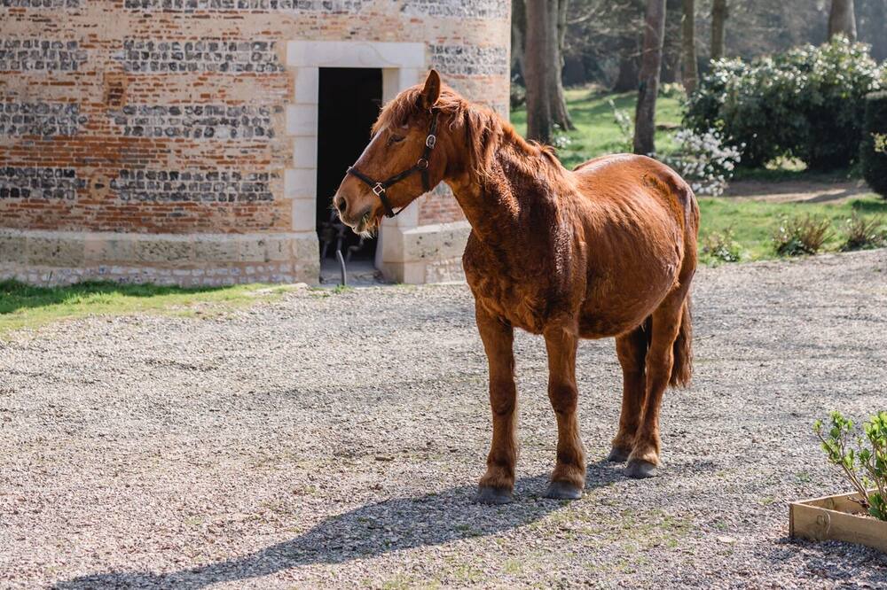 Photo of Outdoor in Bordeaux-Saint-Clair