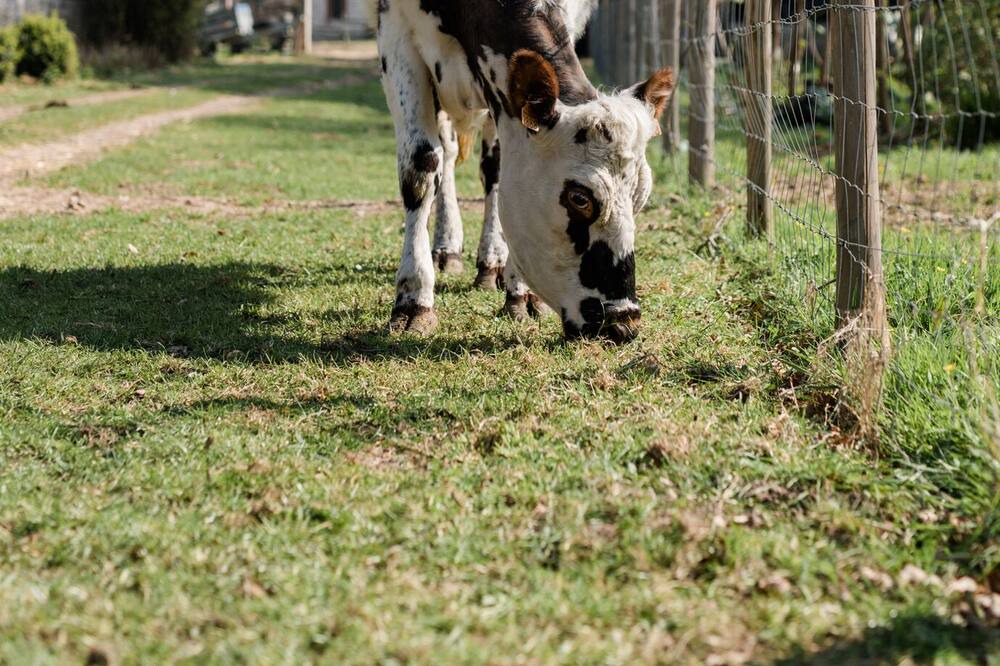 Photo of Outdoor in Bordeaux-Saint-Clair