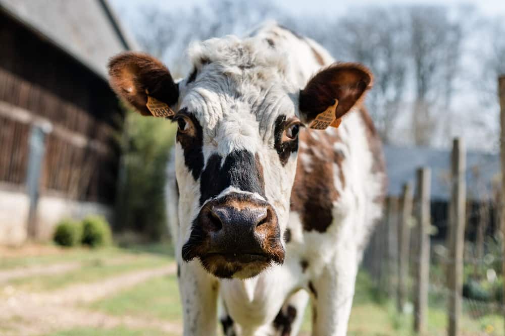 Photo of Outdoor in Bordeaux-Saint-Clair