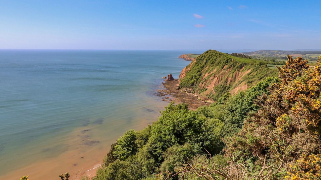 Photo of Others in Sidmouth