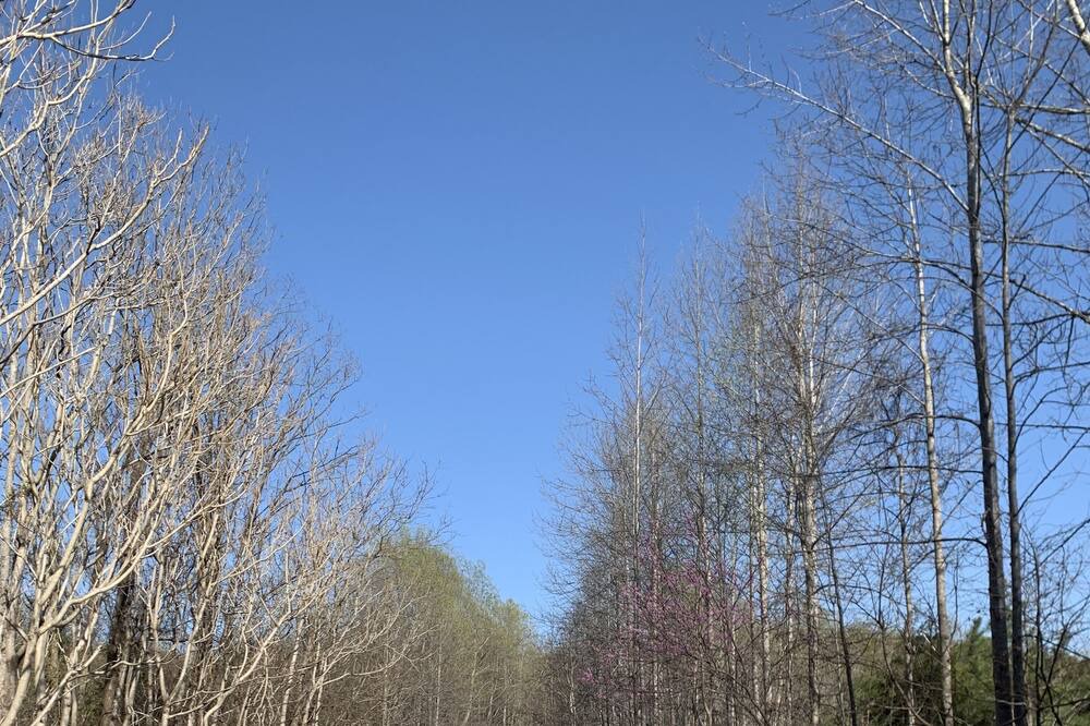 Photo of Outdoor in Andersonville