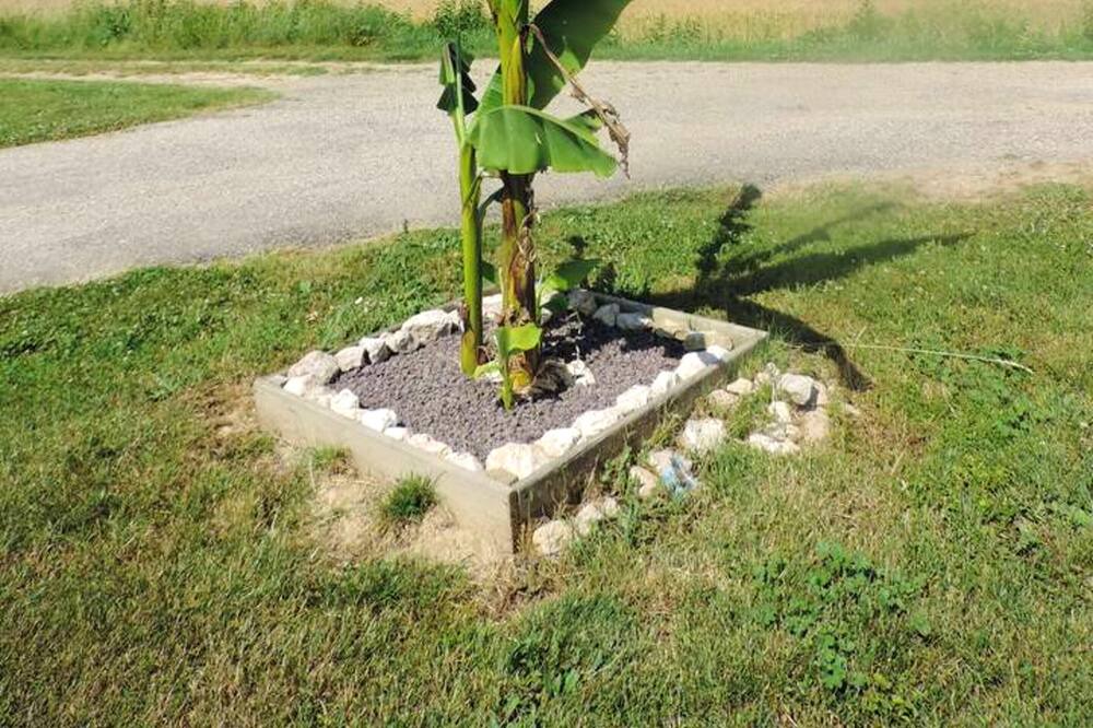 Photo of Outdoor in Saint-Pierre-de-Clairac