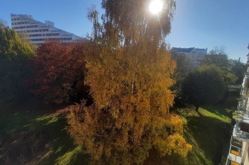 Photo of Outdoor in Bourg-l'Eveque