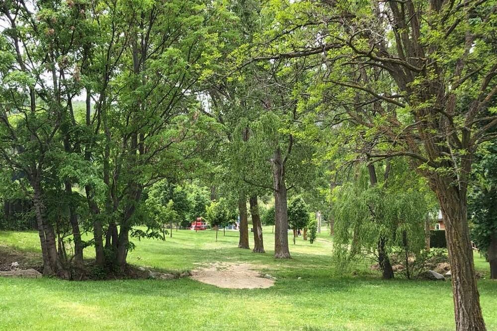 Photo of Outdoor in Osseja