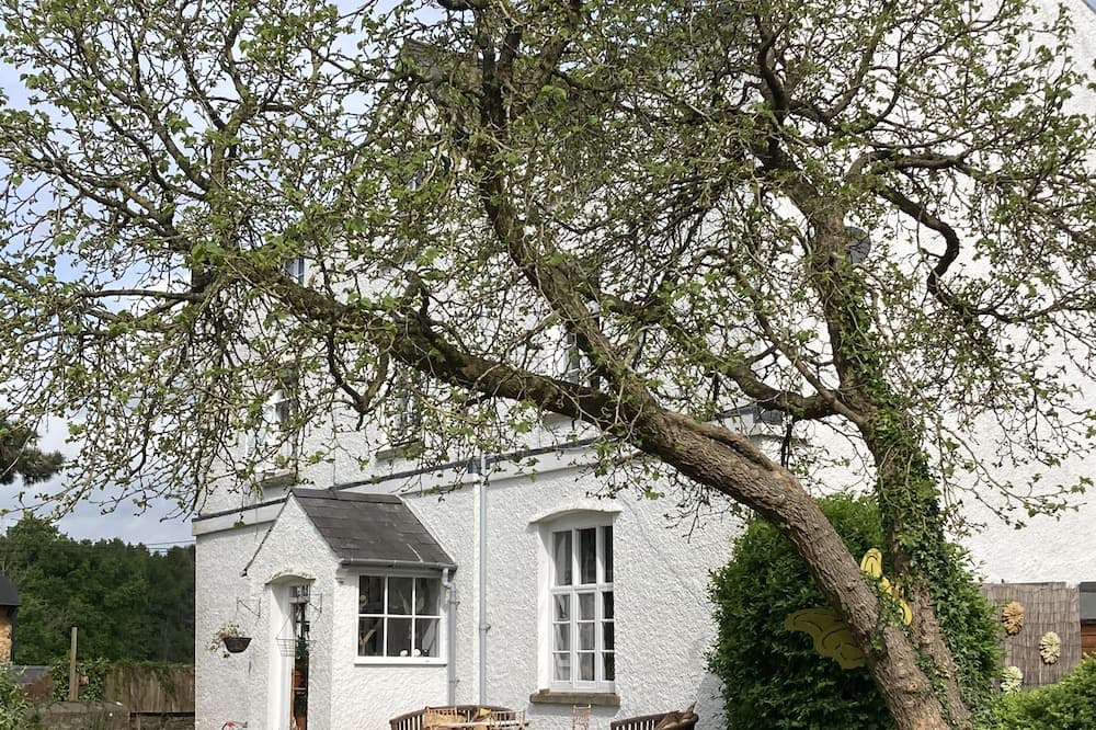 Photo of Outdoor in Llanvair Kilgeddin