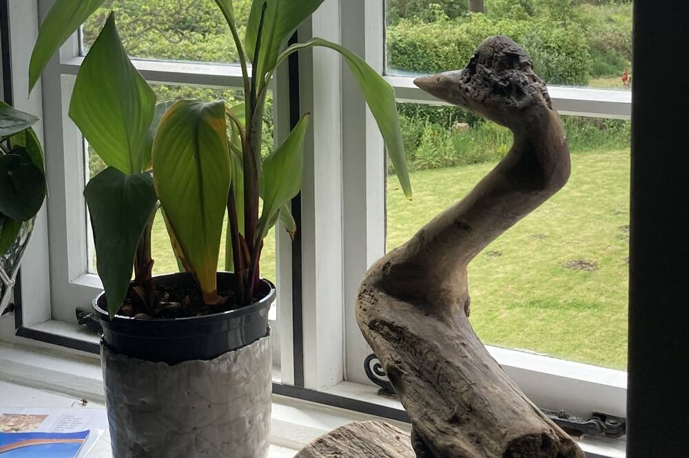 Photo of Bedroom in Llanvair Kilgeddin