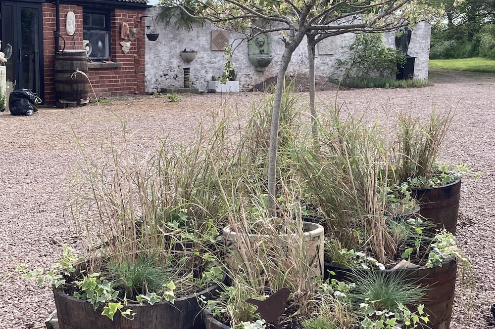 Photo of Outdoor in Llanvair Kilgeddin