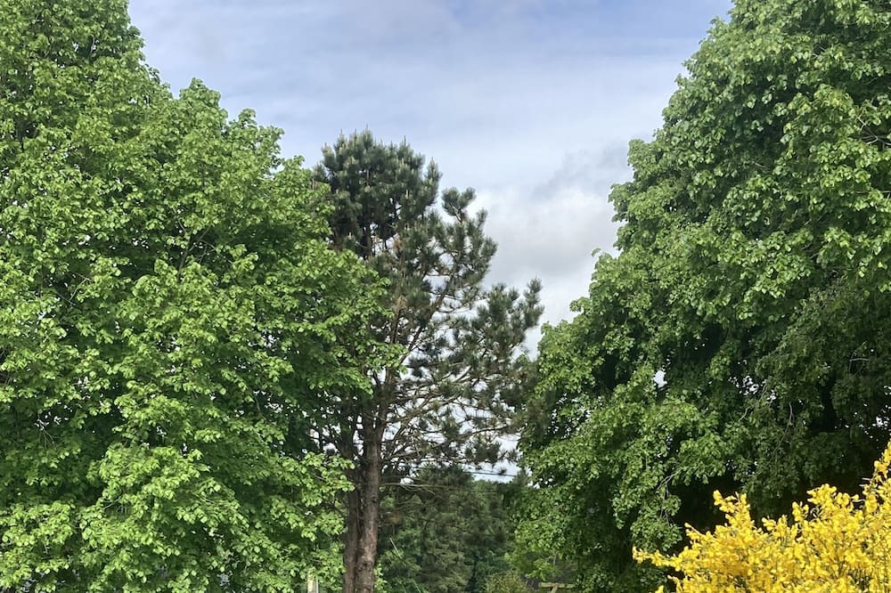 Photo of Outdoor in Llanvair Kilgeddin