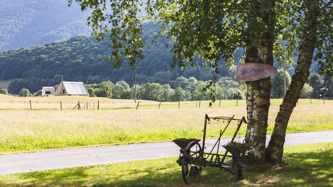 Photo of Outdoor in Campan