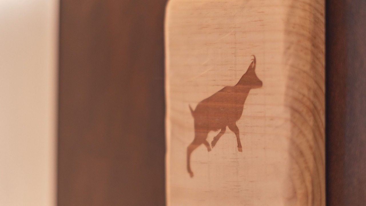 Photo of Bedroom in Campan