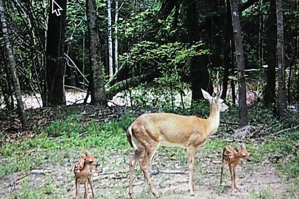 Photo of Others in Silsbee