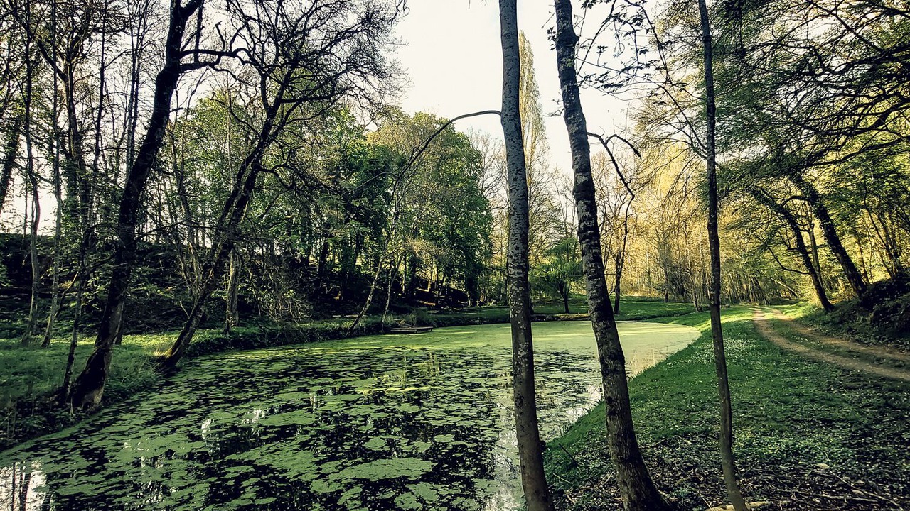 Photo of Outdoor in Langeais