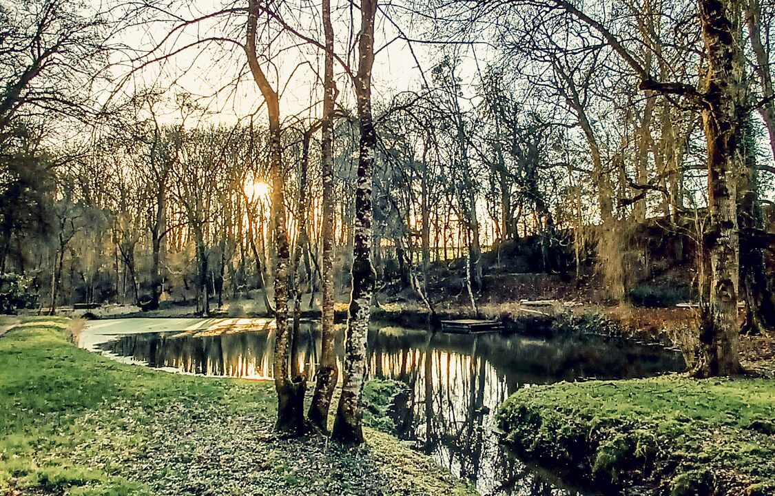 Photo of Outdoor in Langeais