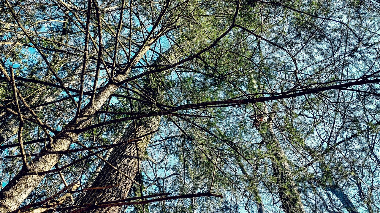 Photo of Others in Langeais