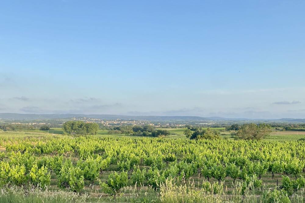 Photo of Others in Aspiran