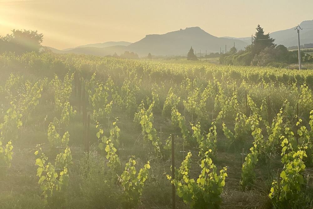 Photo of Outdoor in Aspiran