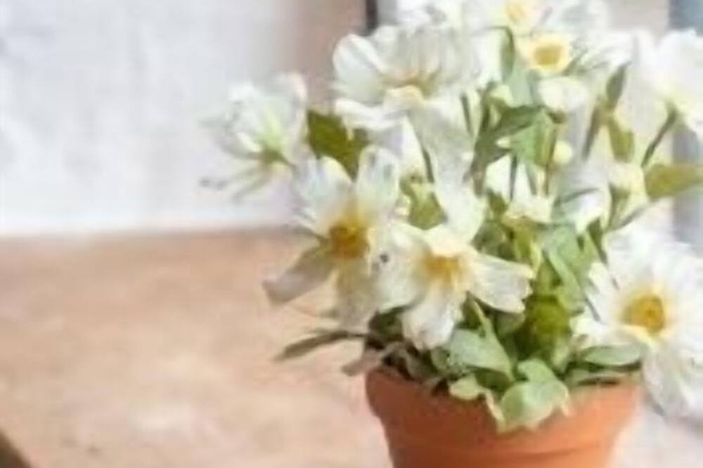 Photo of Others in Barwick