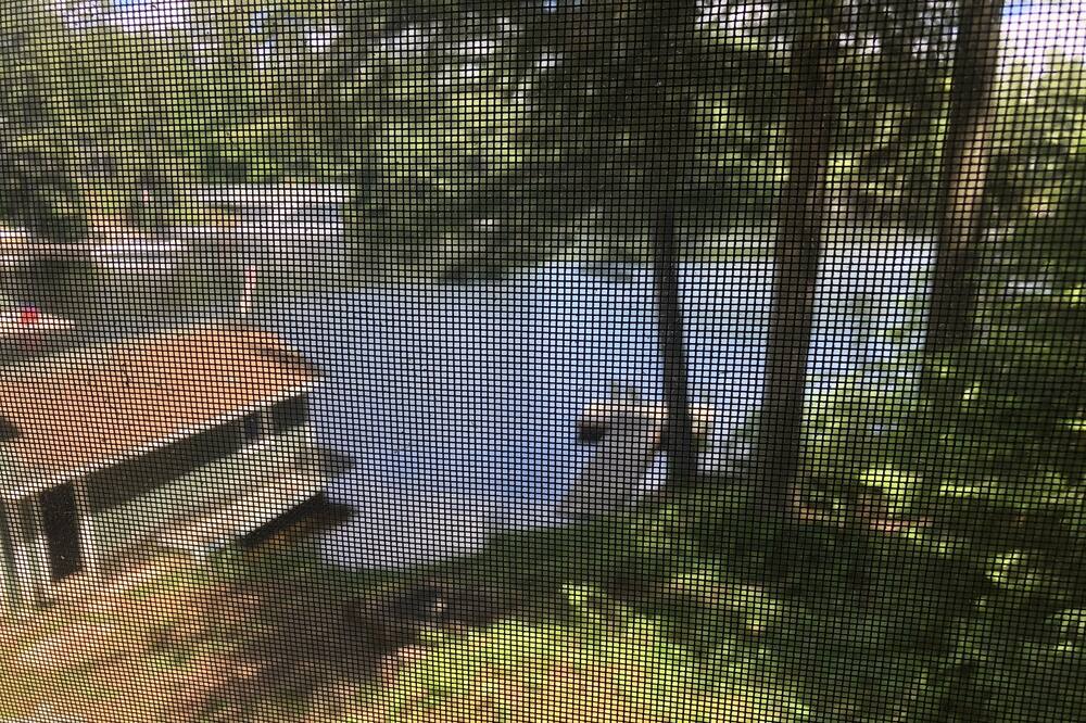 Photo of Outdoor in Trent Lakes