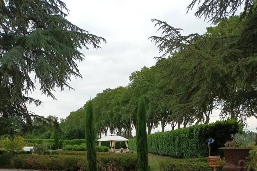 Photo of Others in Lisle-sur-Tarn