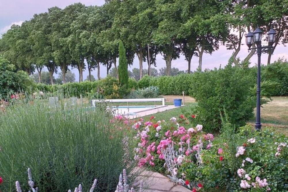 Photo of Outdoor in Lisle-sur-Tarn