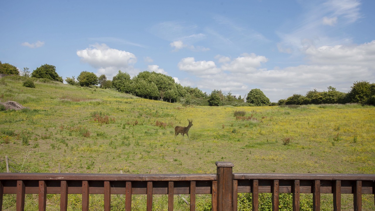 Photo of Outdoor in Olveston