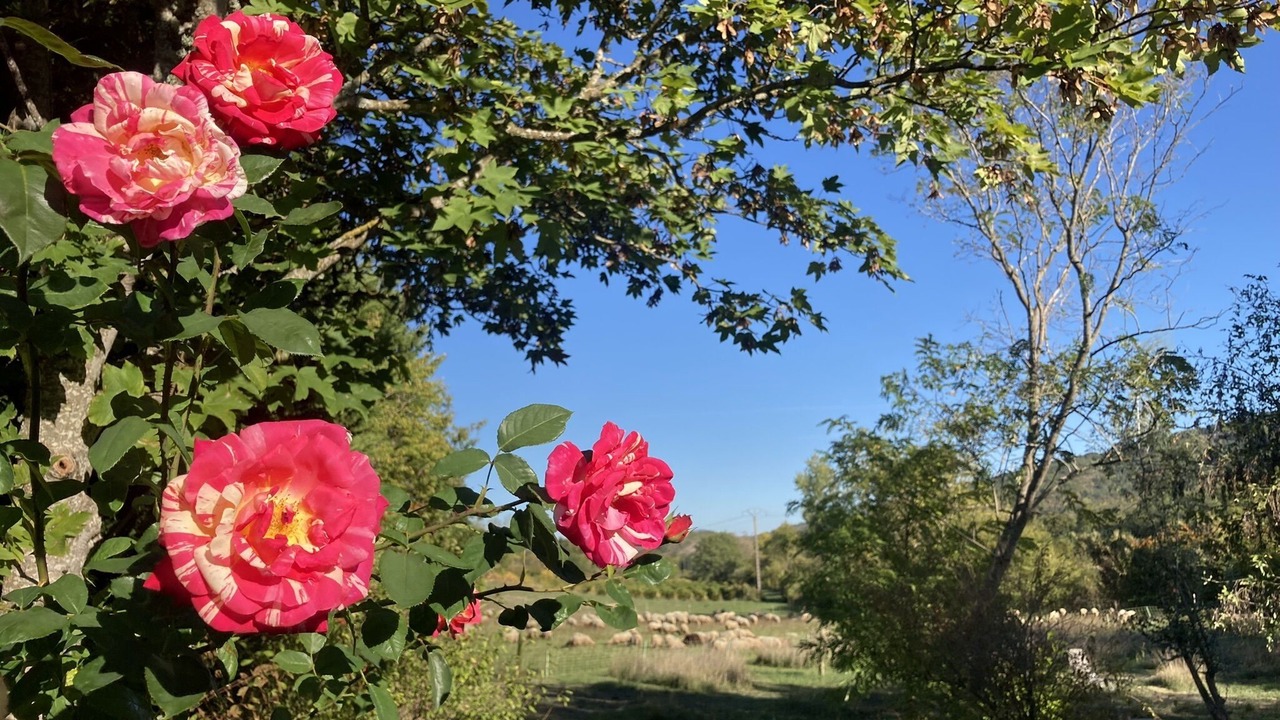 Photo of Outdoor in Saint-Jean-de-Paracol