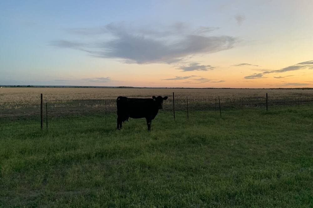 Photo of Outdoor in San Saba