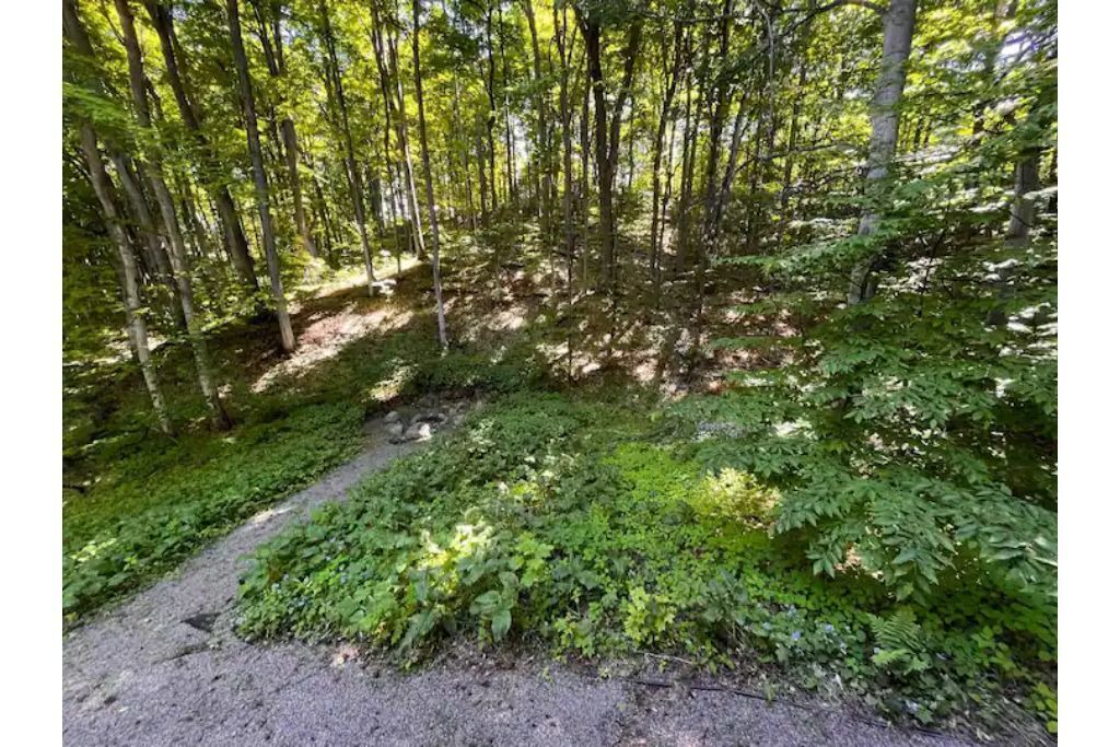 Photo of Outdoor in Suttons Bay