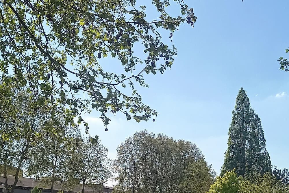 Photo of Outdoor in Saint-Macaire