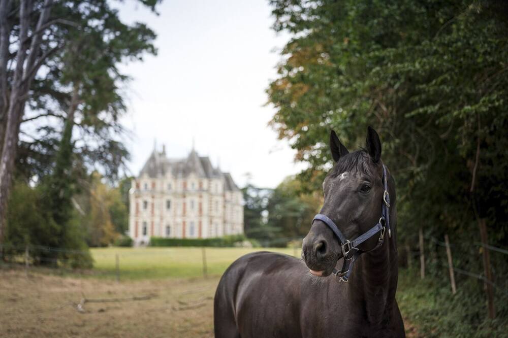 Photo of Outdoor in La Jumelliere