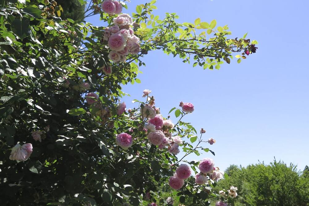 Photo of Outdoor in Agnac