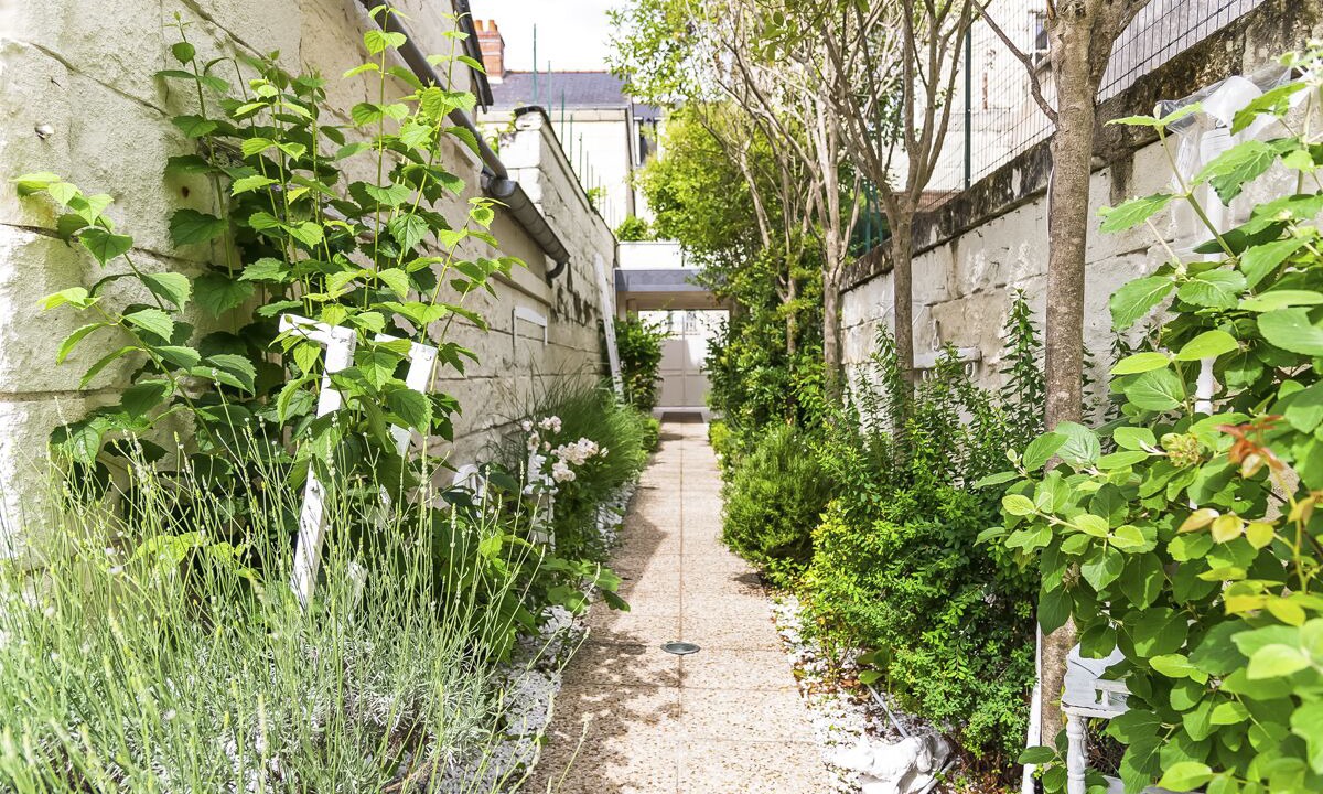 Photo of Outdoor in Saumur