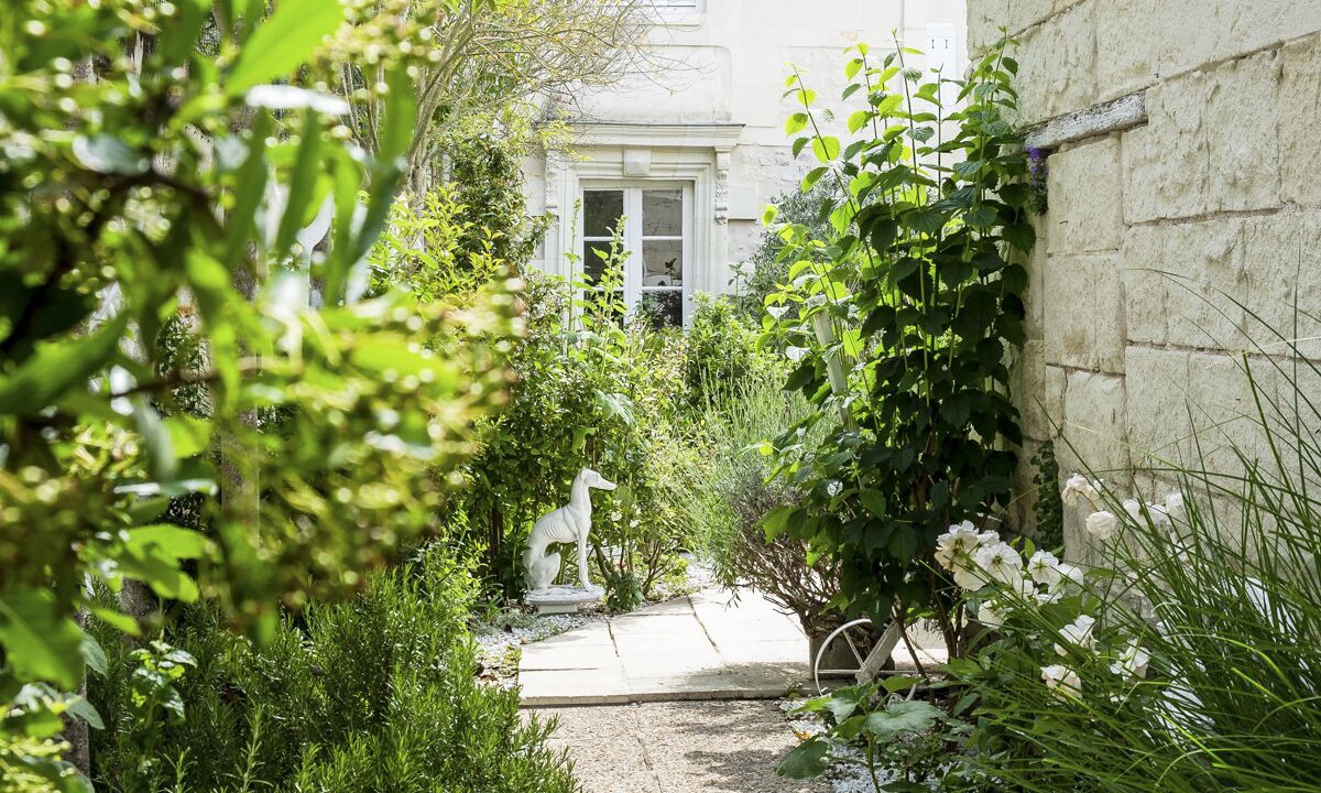 Photo of Outdoor in Saumur