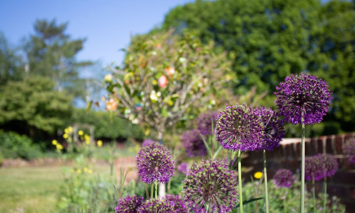 Photo of Outdoor in Cookham Dean