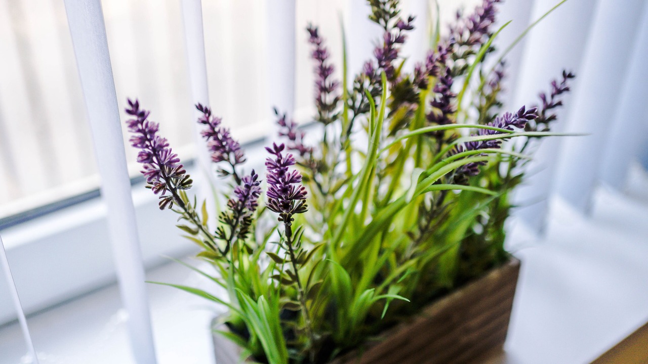 Photo of Others in Stubbins