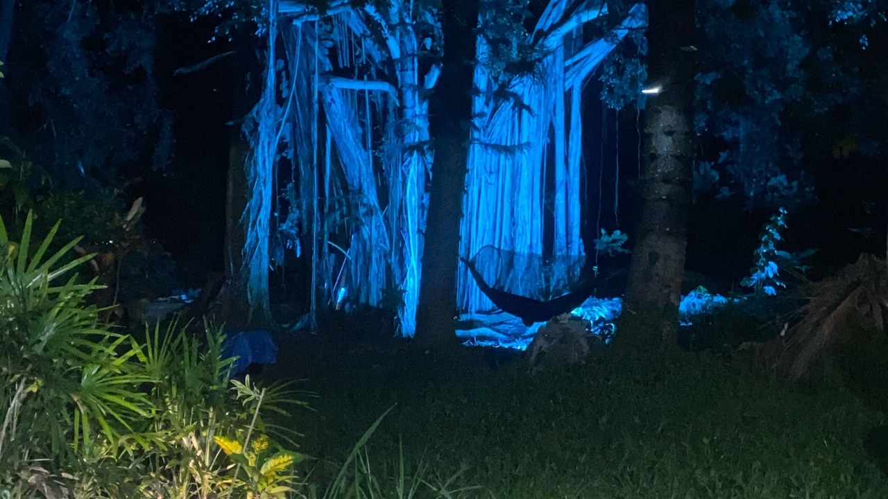 Photo of Outdoor in Keaau