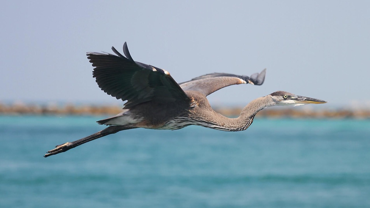 Photo of Others in Miramar Beach