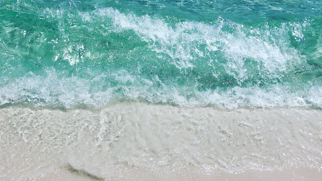 Photo of Others in Miramar Beach