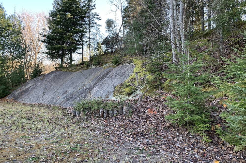 Photo of Outdoor in Carlow/Mayo