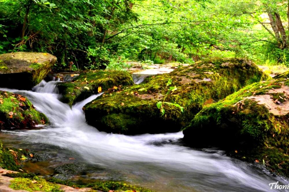 Photo of Outdoor in Mollo